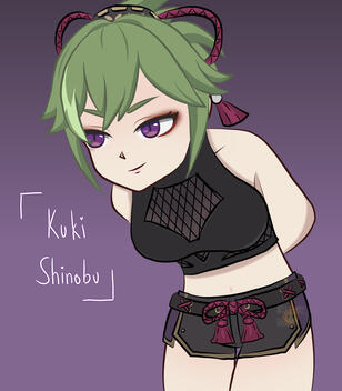 Kuki Shinobu || Genshin Impact